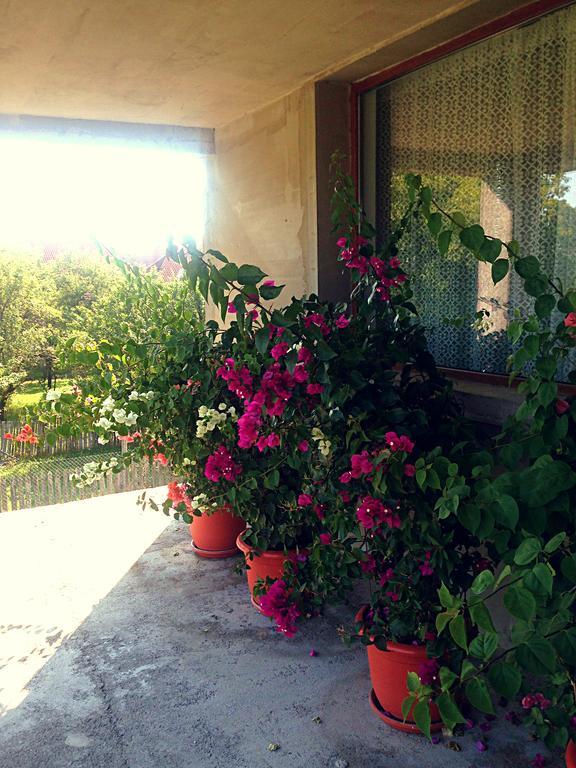 Casa Renti Hotell Novaci-Străini Eksteriør bilde